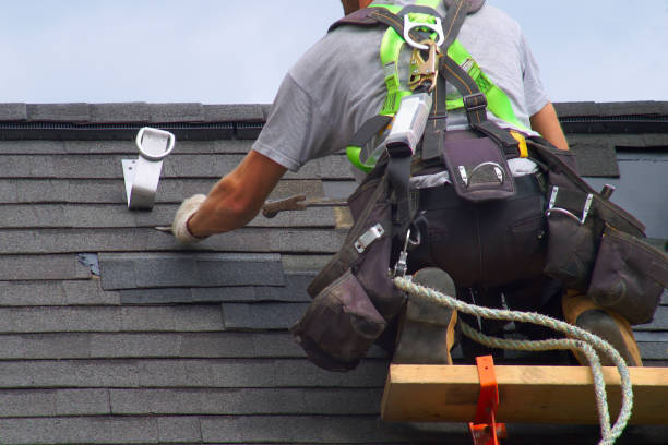 Best Solar Panel Roofing Installation  in Anchorage, AK